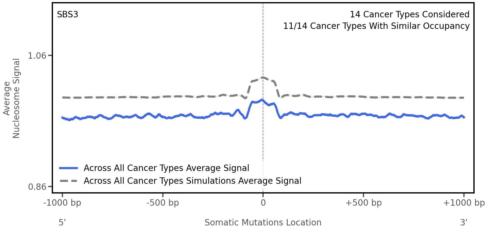 3rd Sab Mutations COSMIC | SBS3 - Mutational Signatures