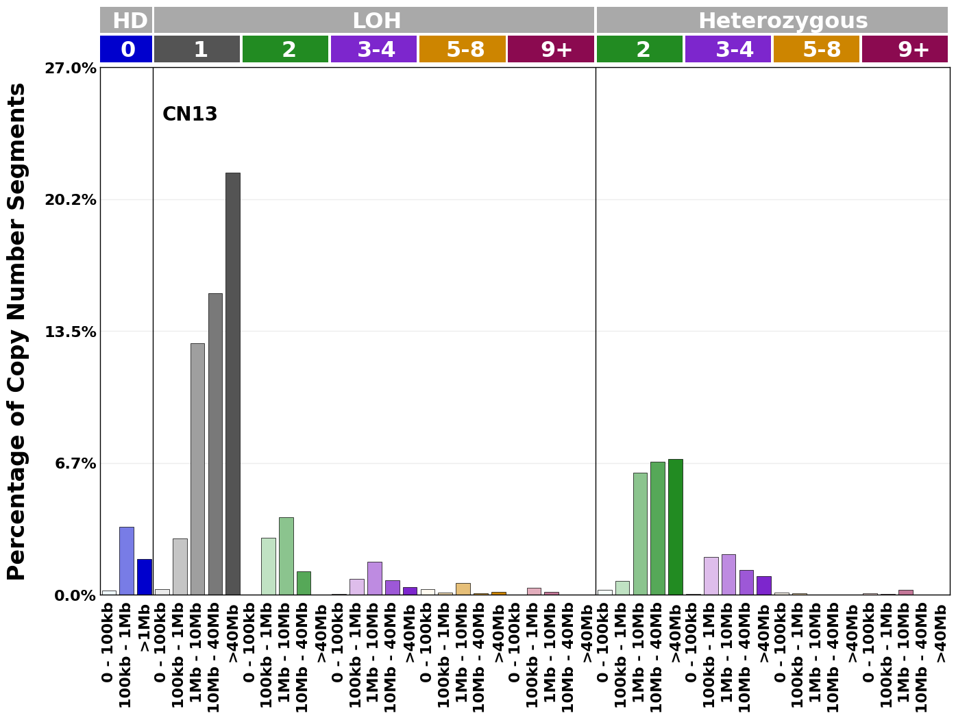 CN13 mutational profile