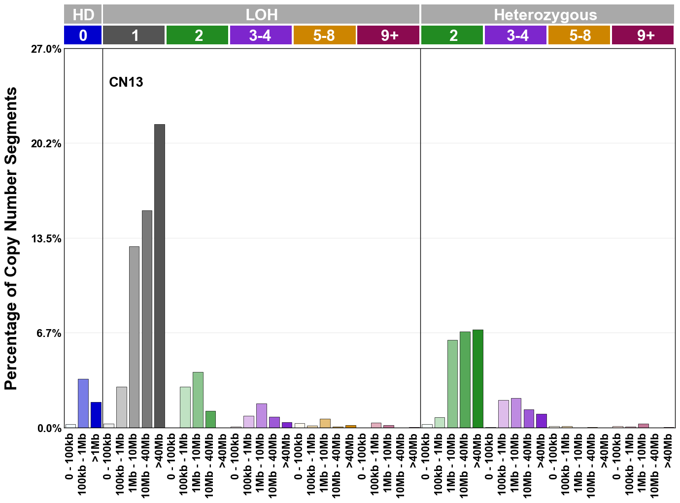 CN13 mutational profile