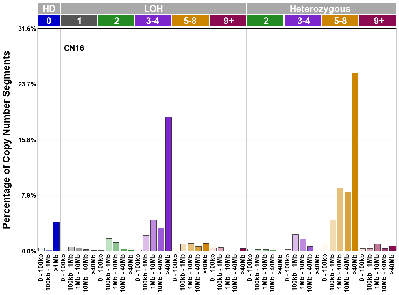 CN16 mutational profile