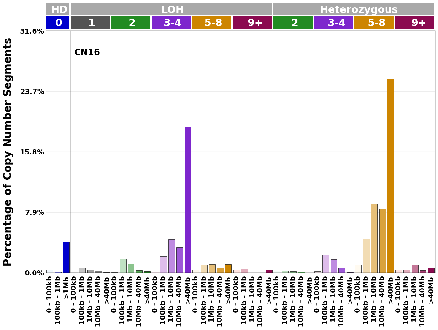 CN16 mutational profile
