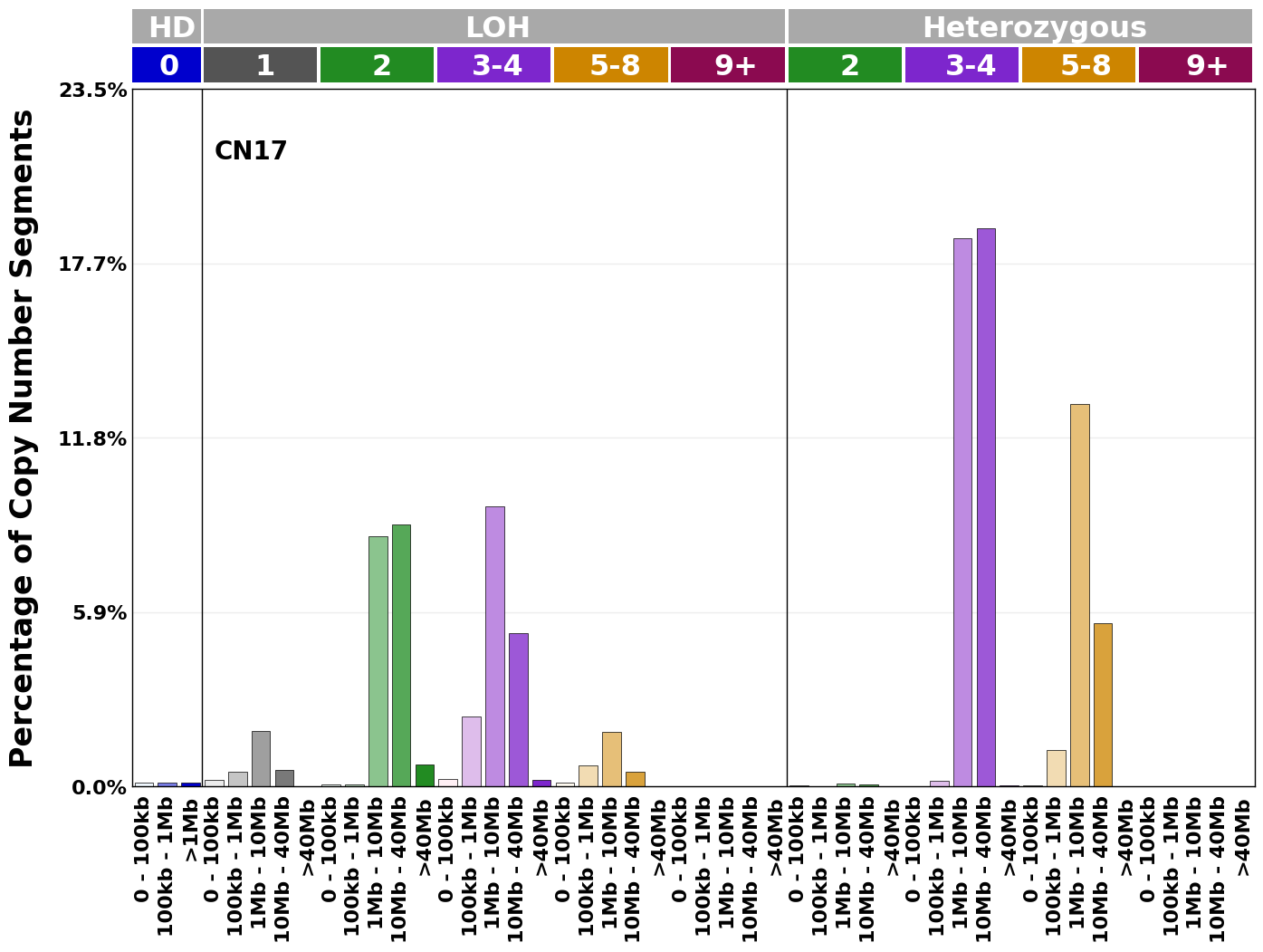 CN17 mutational profile