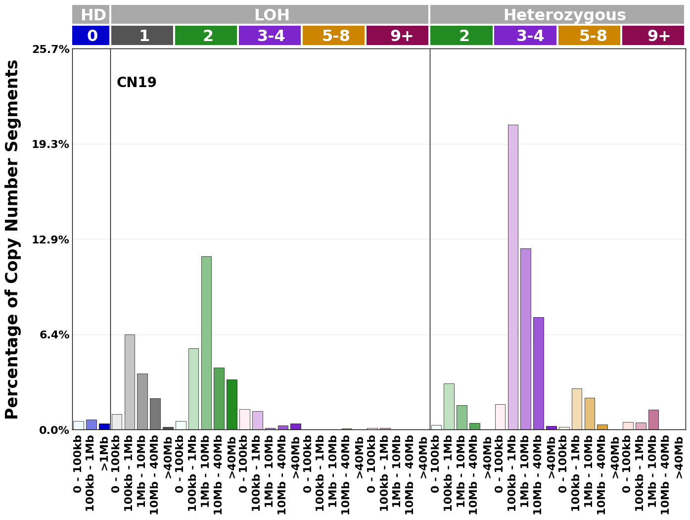 CN19 mutational profile