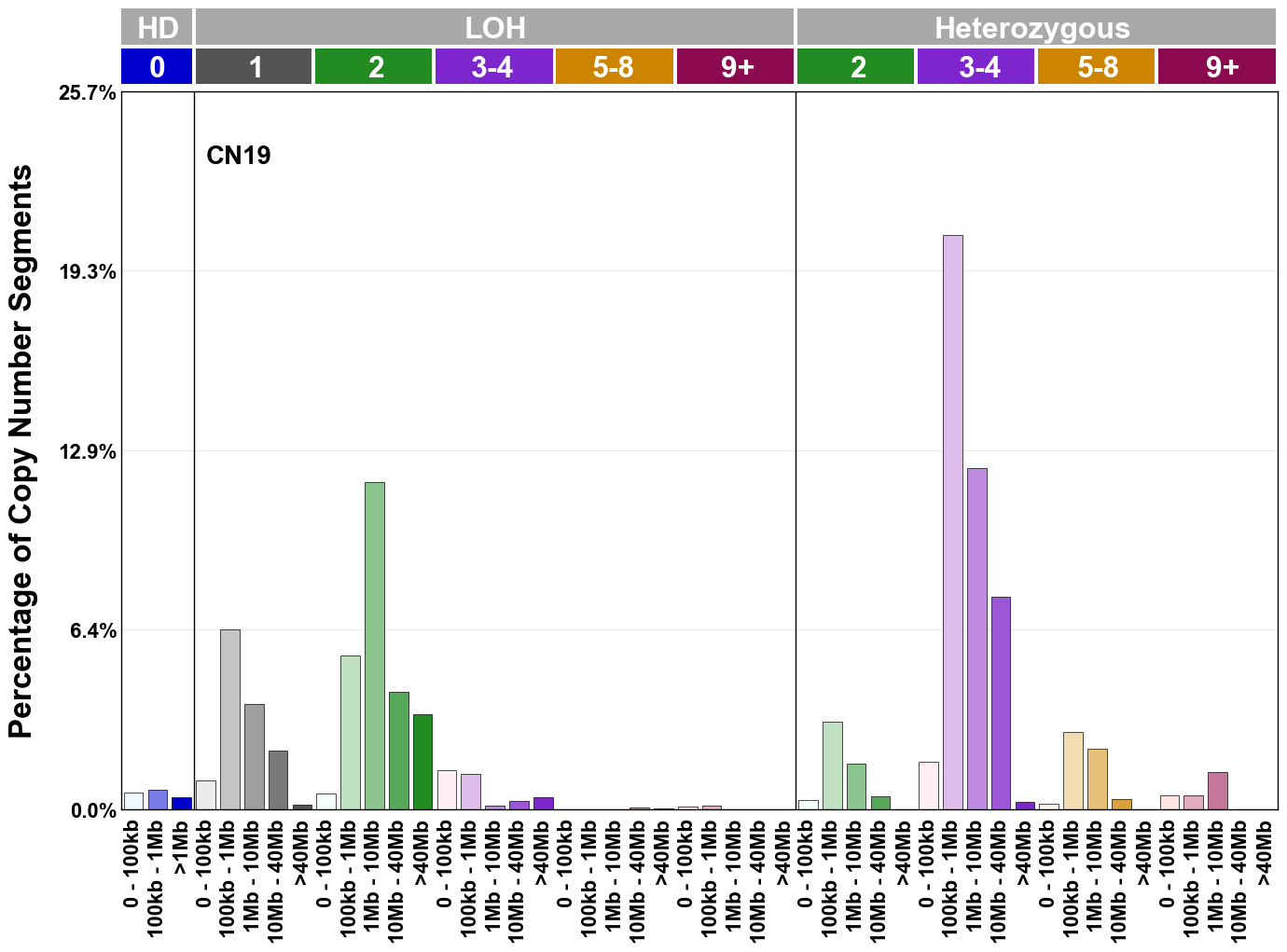 CN19 mutational profile