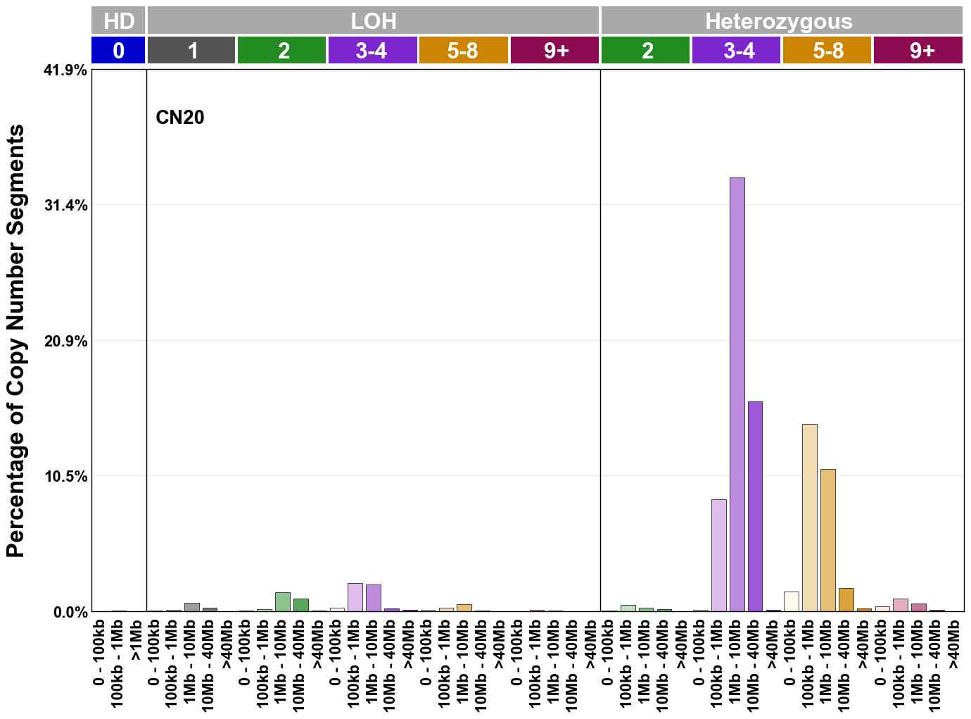CN20 mutational profile