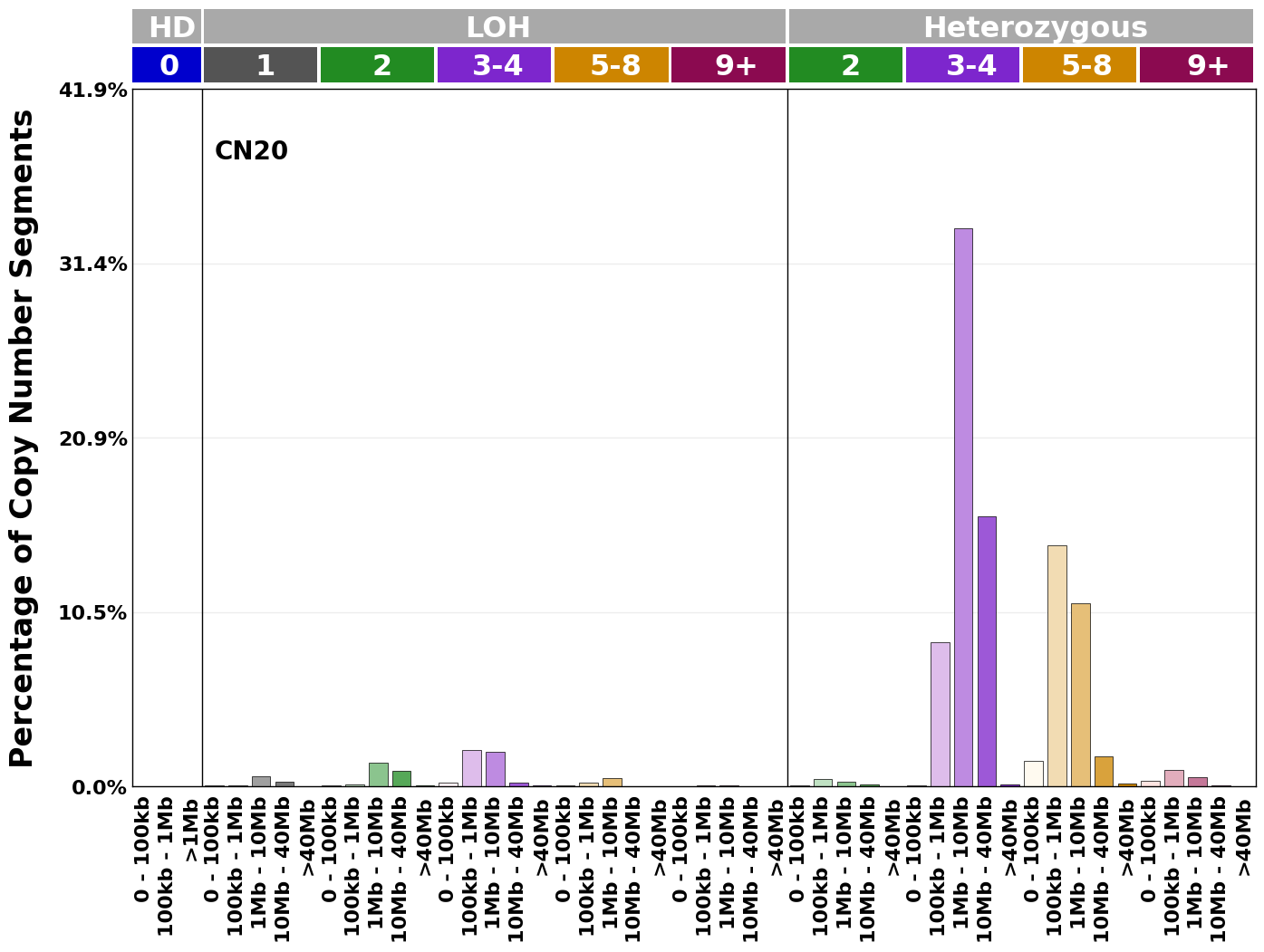 CN20 mutational profile