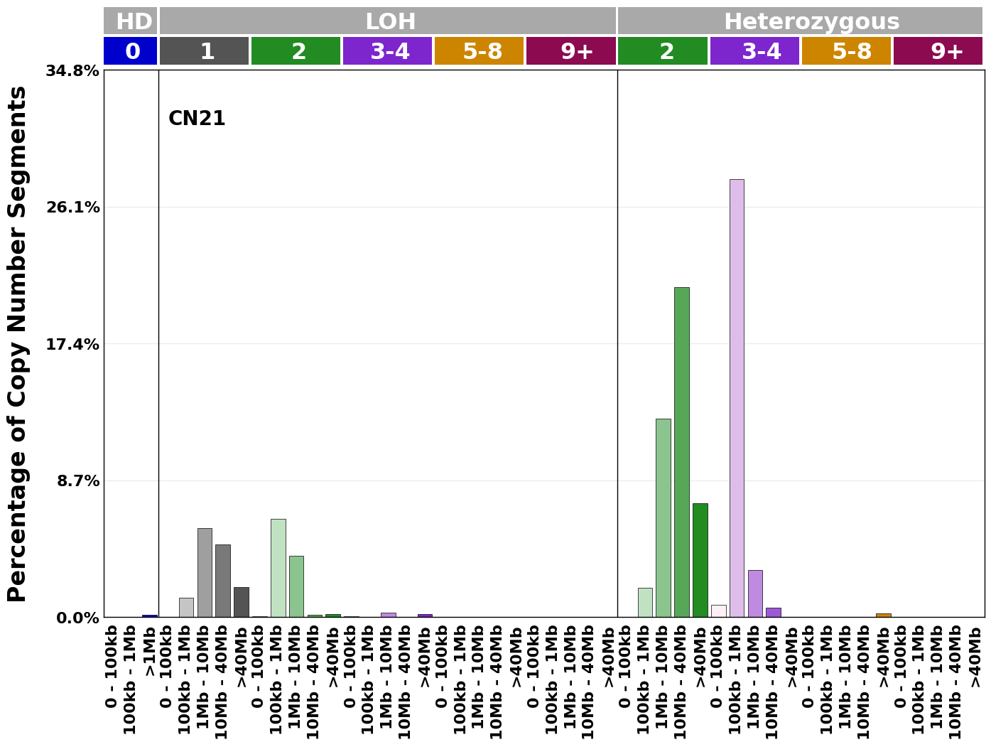 CN21 mutational profile