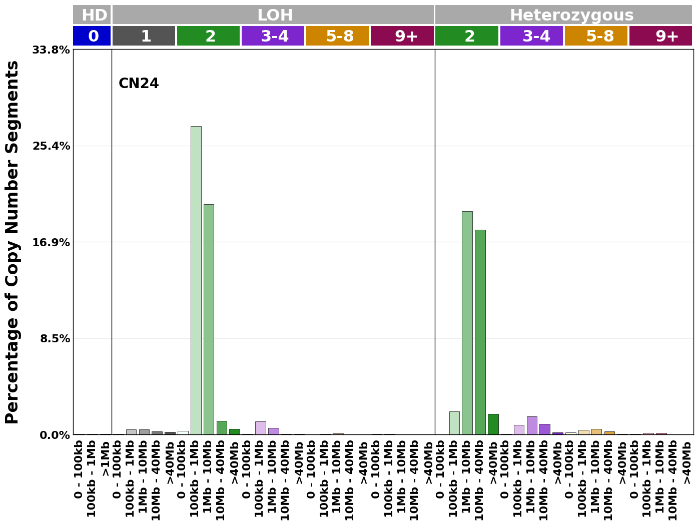 CN24 mutational profile