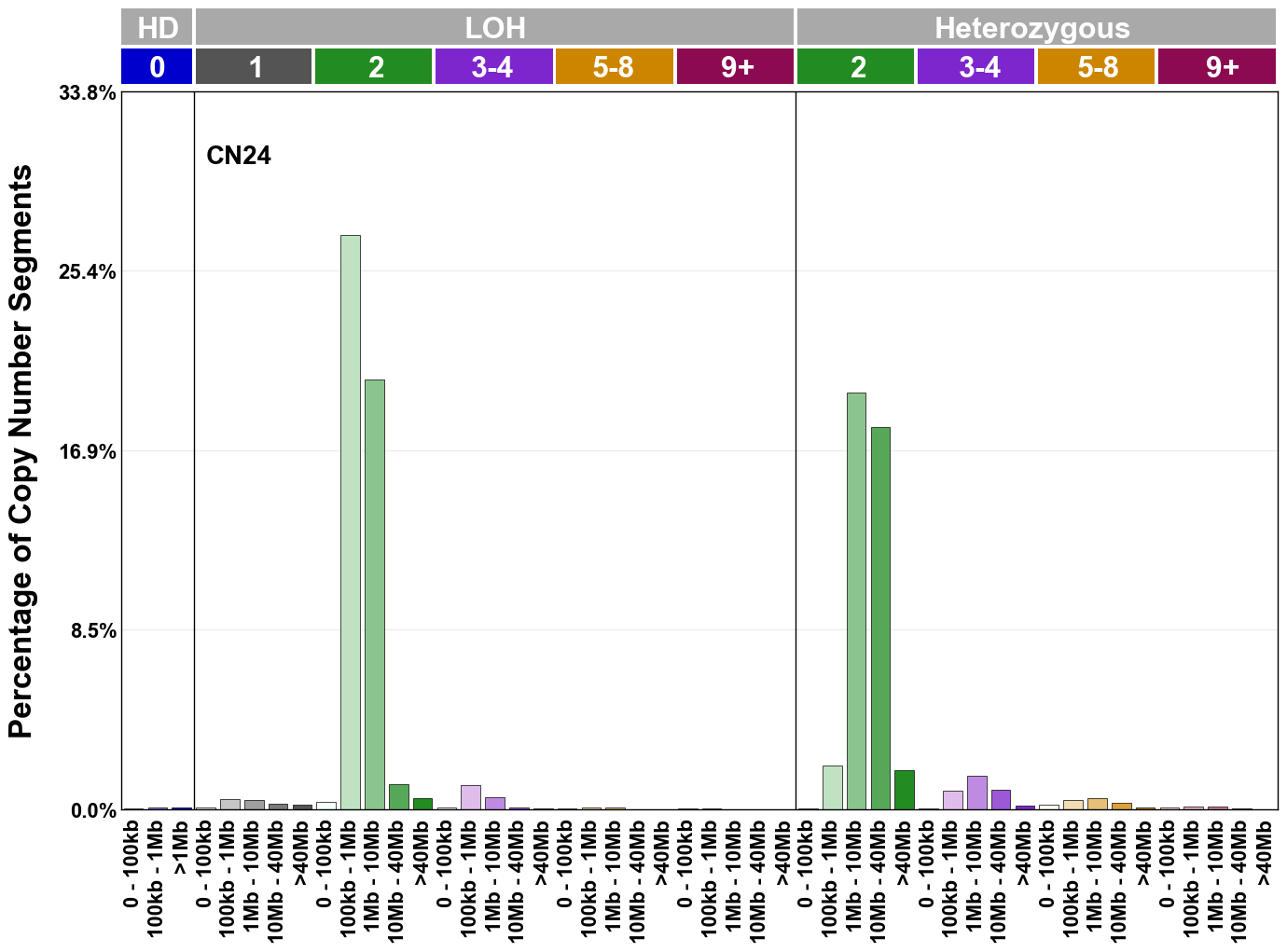 CN24 mutational profile