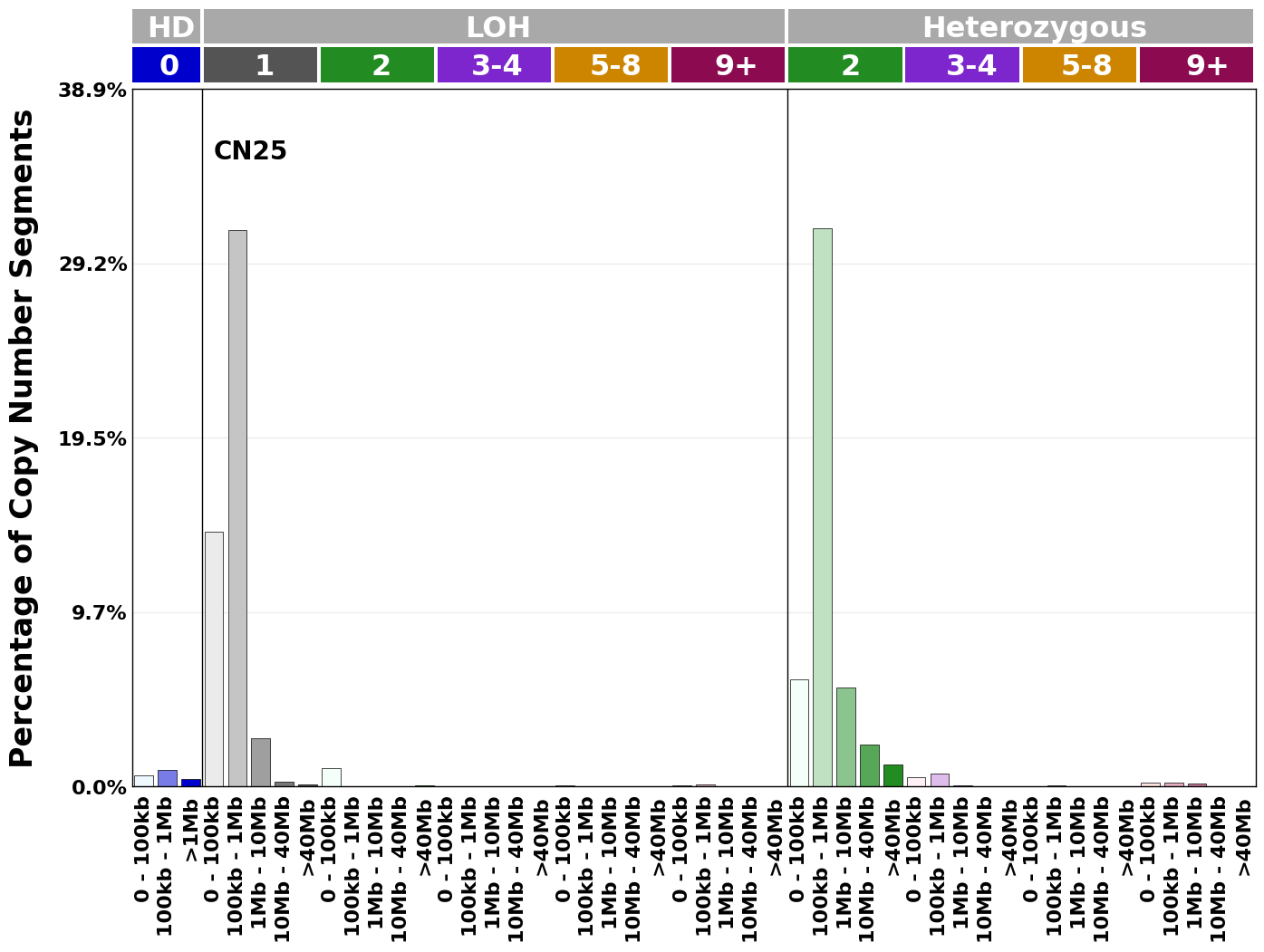 CN25 mutational profile