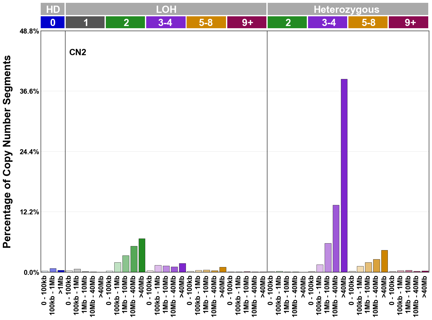 CN2 mutational profile