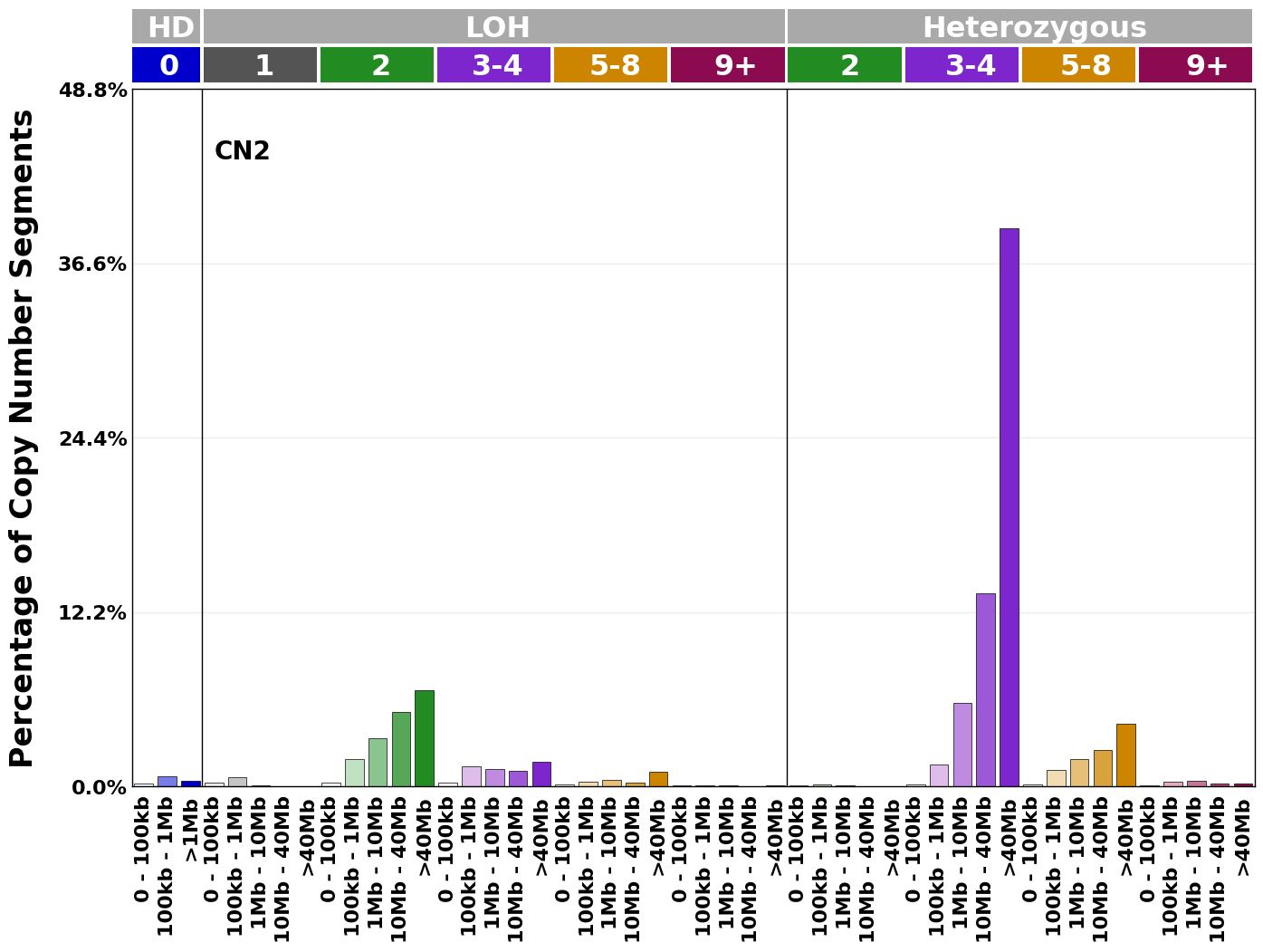 CN2 mutational profile