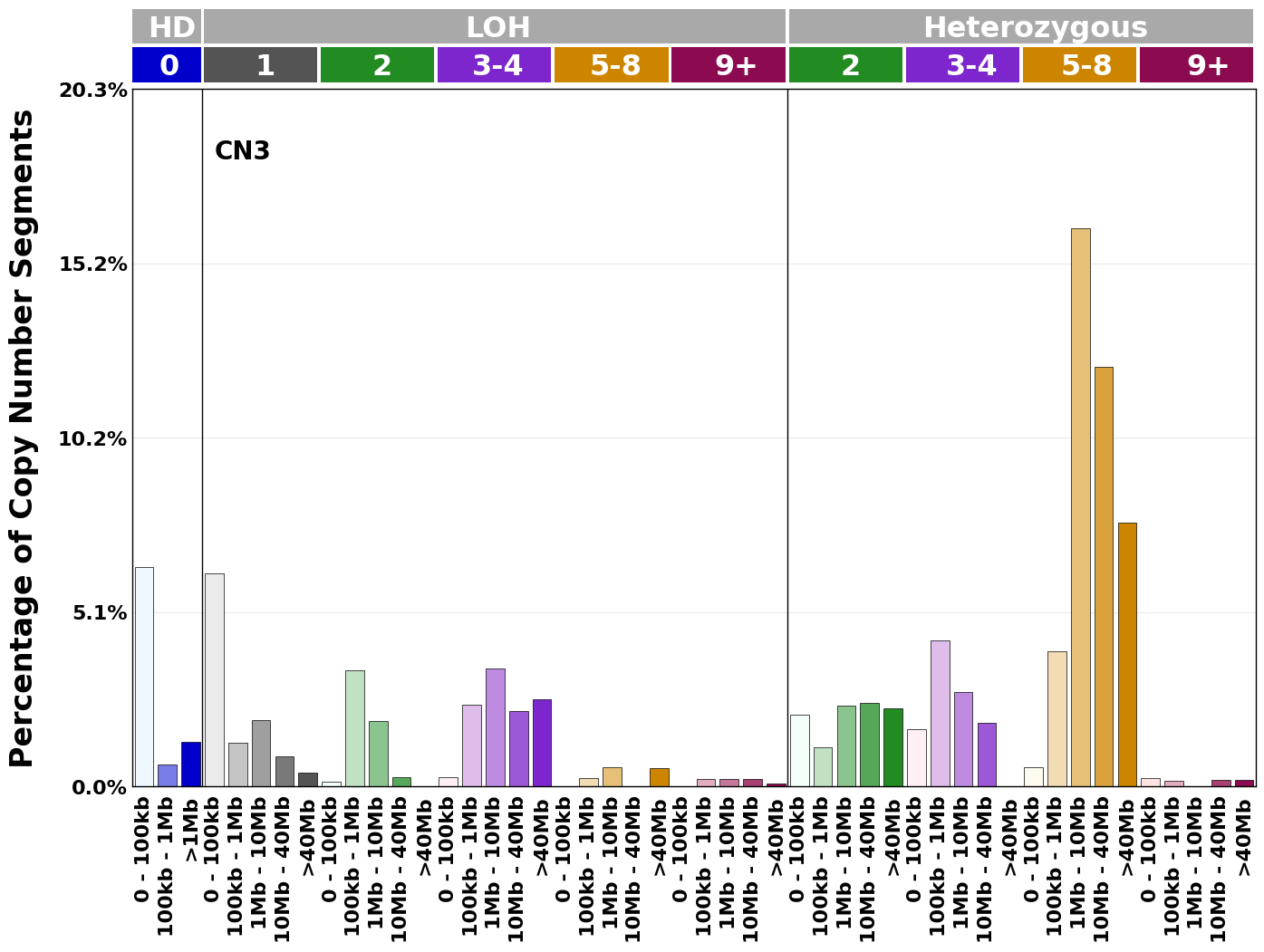 CN3 mutational profile