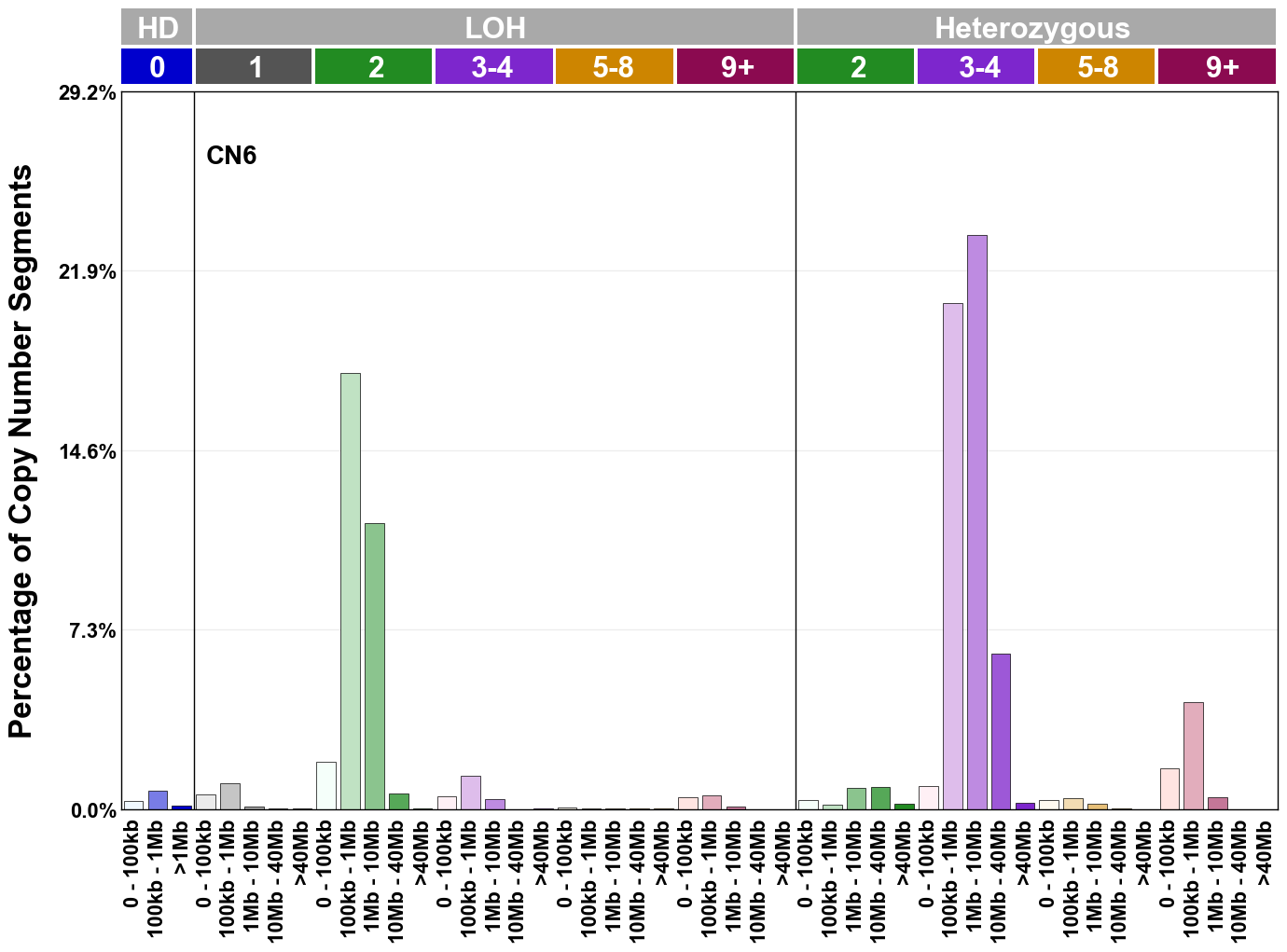 CN6 mutational profile