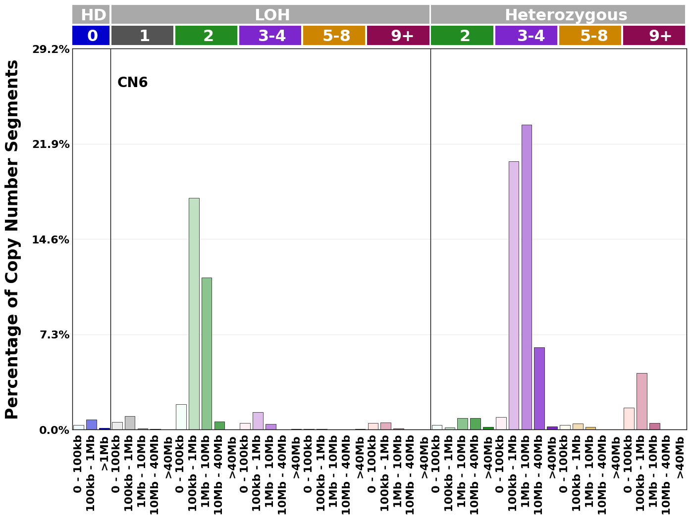 CN6 mutational profile