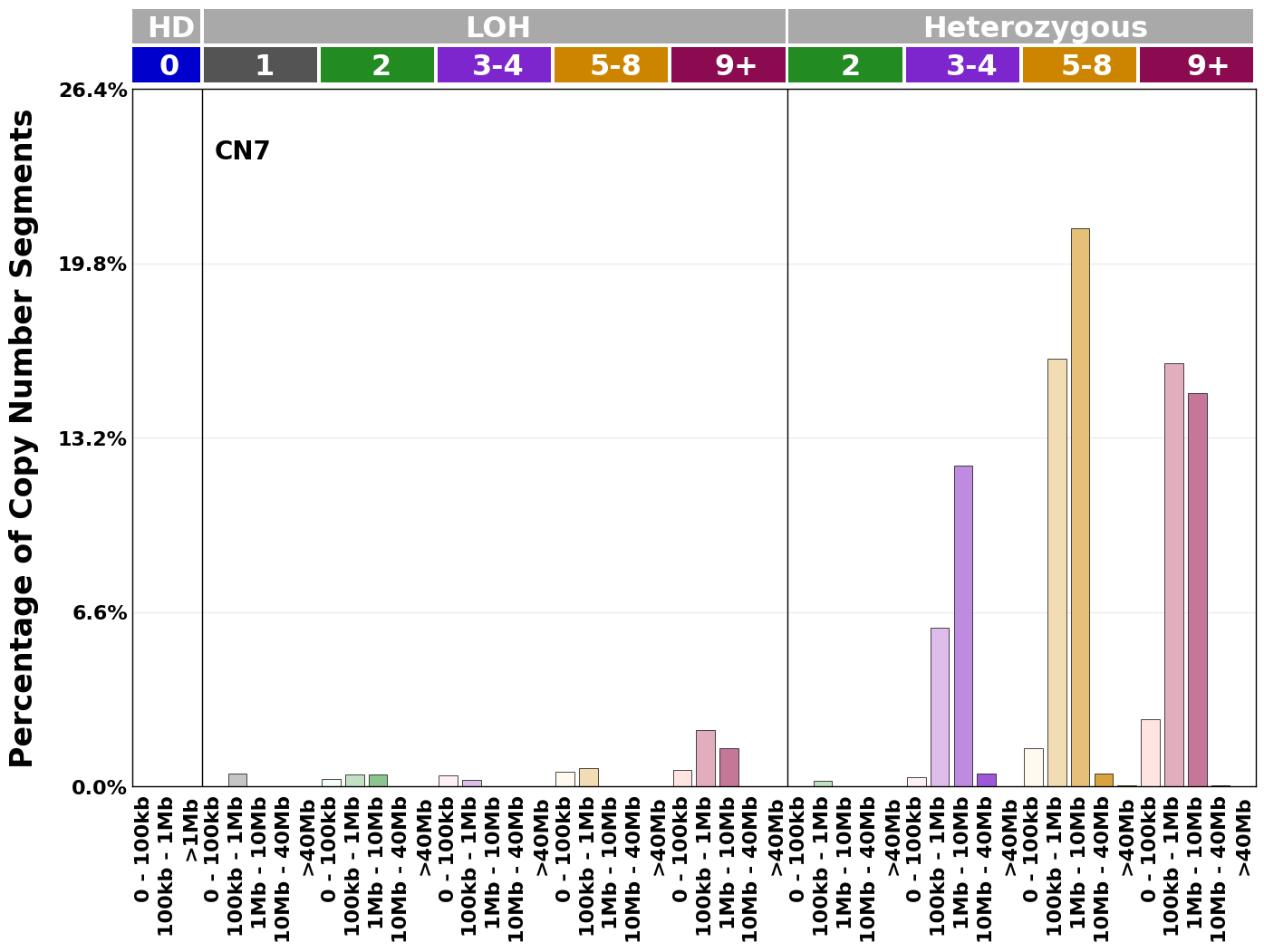 CN7 mutational profile