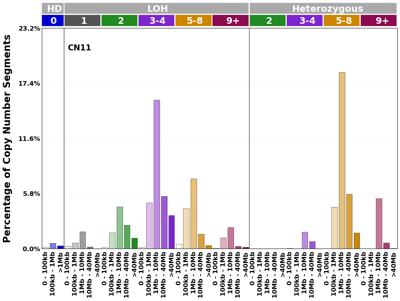 CN11 mutational profile