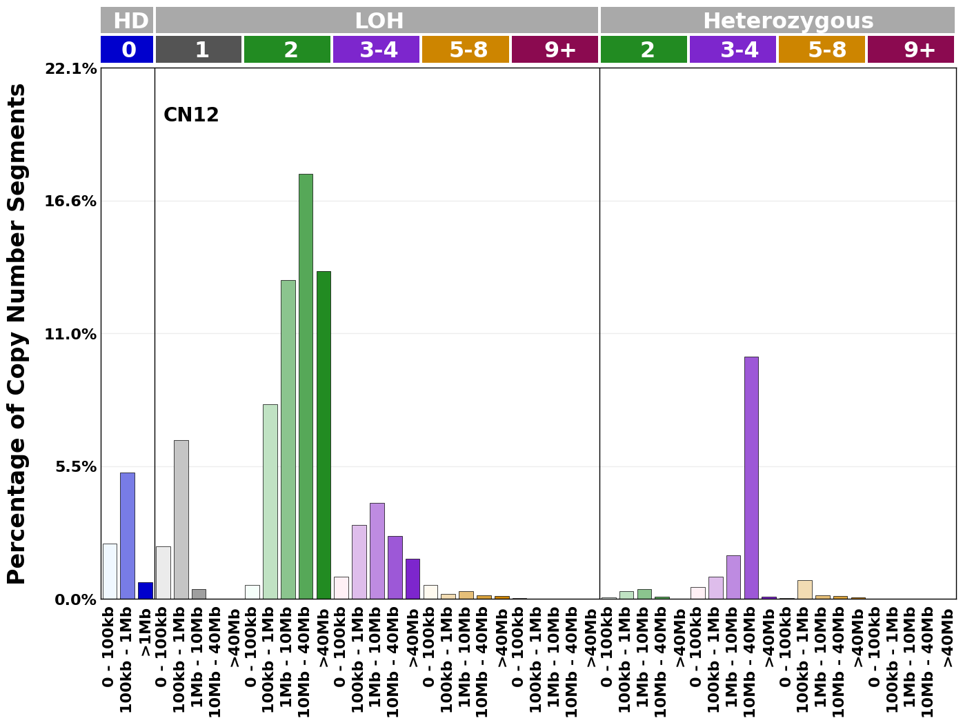 CN12 mutational profile