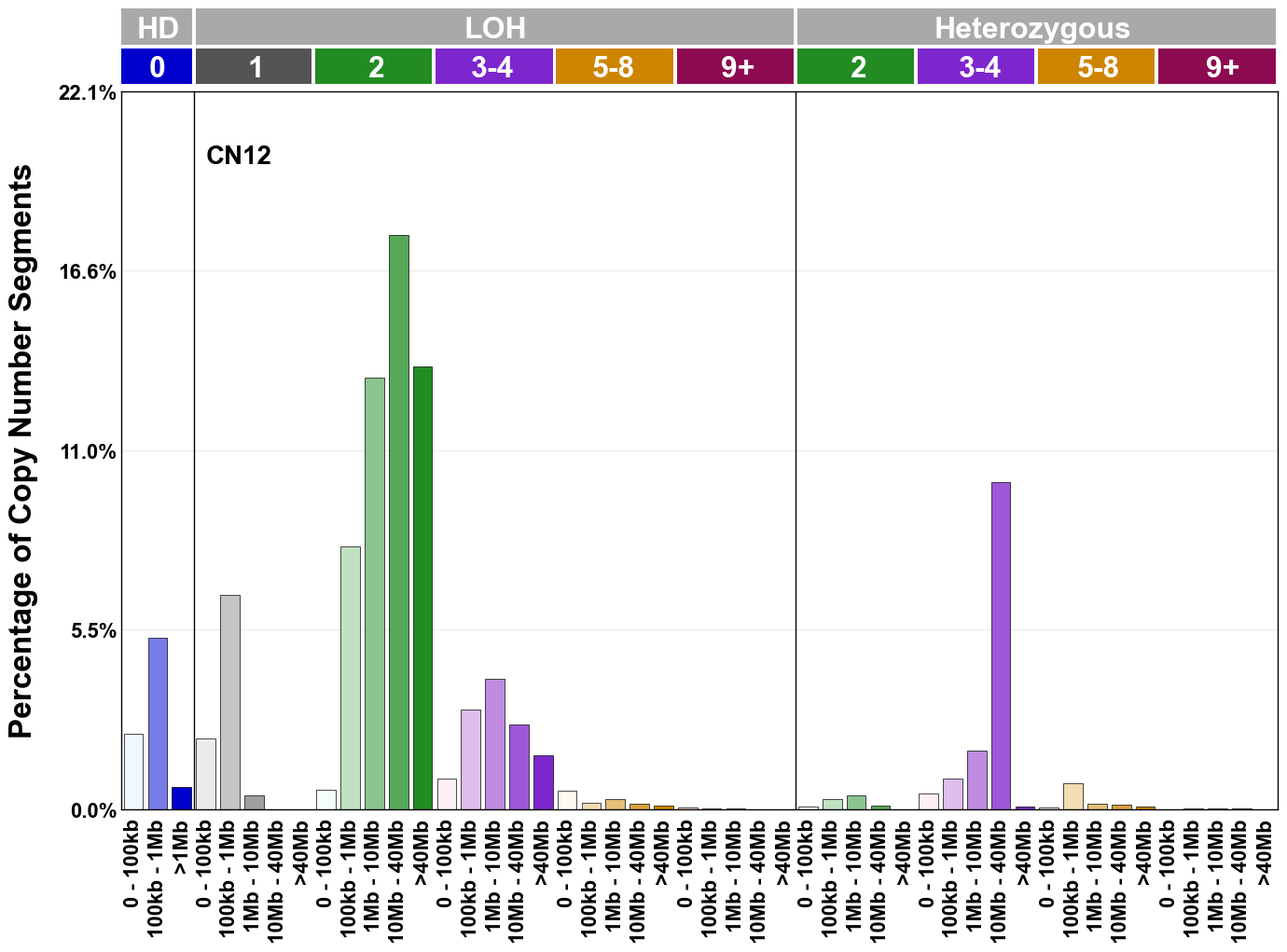 CN12 mutational profile